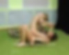 77919138_{w2101}_59.jpg